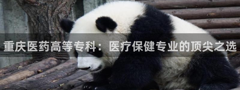 九游会官方网站中心