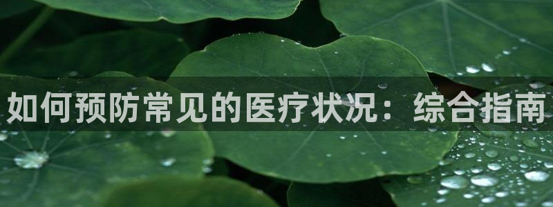 九游会j9国际站 - j9游会官方网页版
