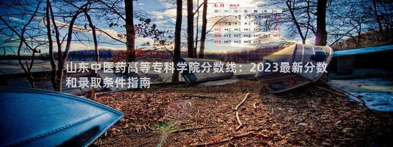 j9九游会安卓版下载