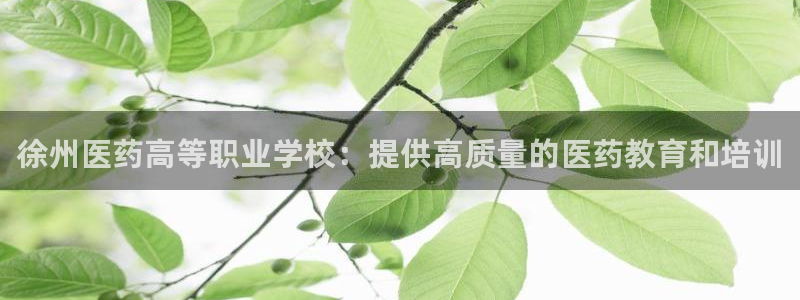 ag改名九游会
