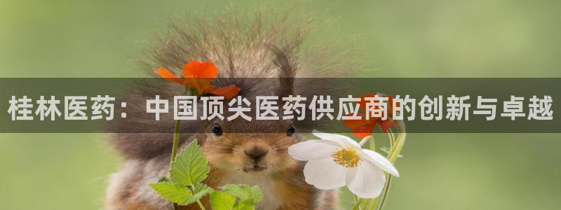 九游会网址多少