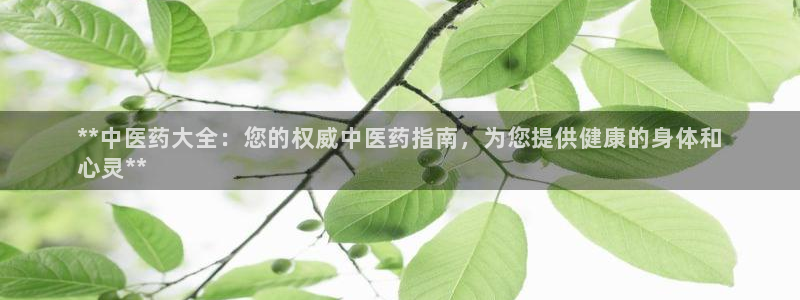 j9九游会官方网站