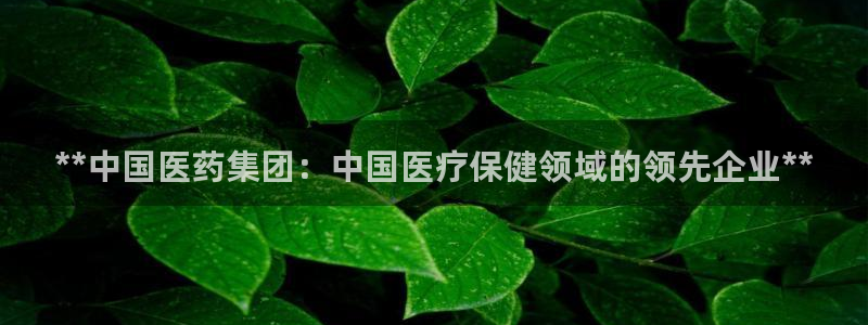 J9九游会试玩入口