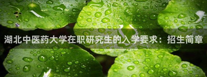 九游会网页