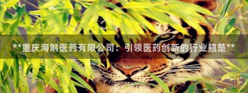 九游会中国j9 09.ag