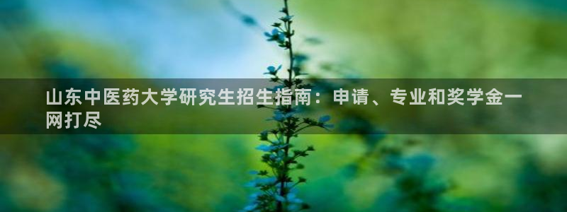 九游会是什么平台