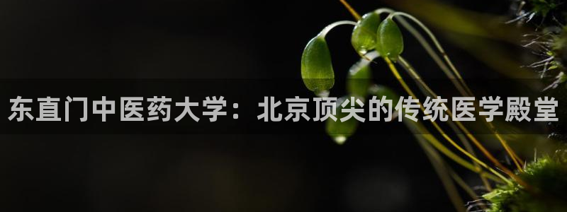 九游会官网网址