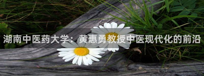 j9363九游会首页