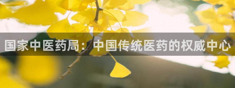 j9九游会登录入口首页新版