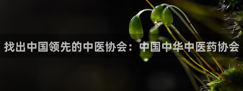 九游会app下载版官网正版手游