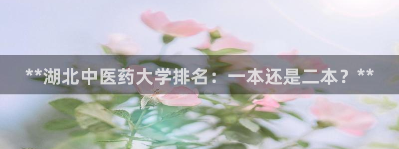 九游会是干嘛的