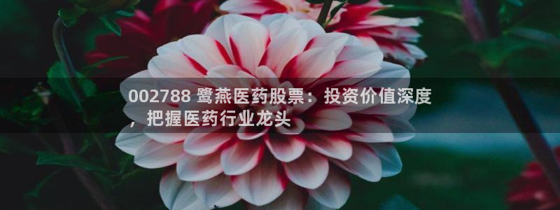 九游会j9官方网站