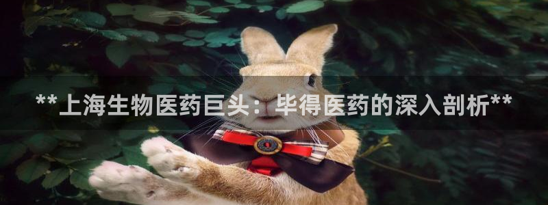 J9九游会国际站