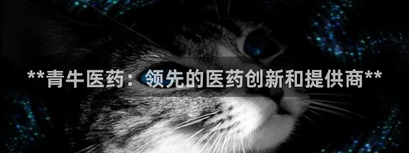 9游会app