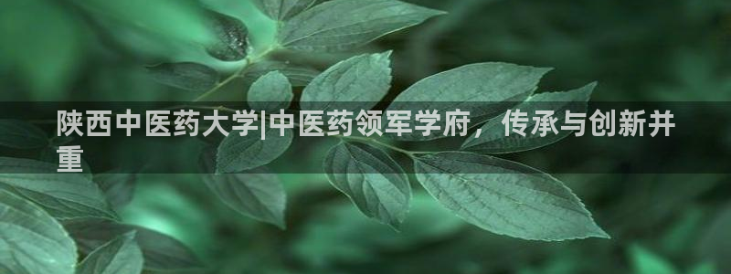 j9九游会永久域名