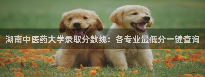 九游会官网可靠的