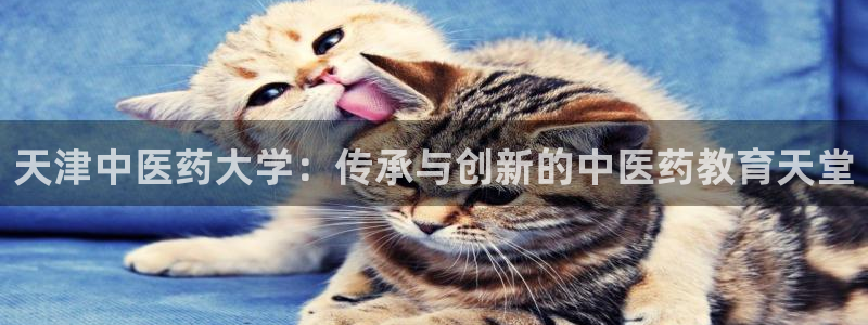 J9九游会登陆