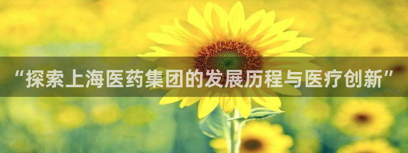 九游j9登录