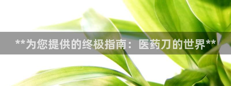 九游会网址登录不上