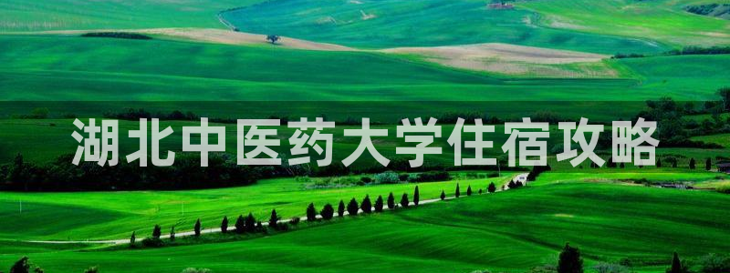 九游会官网j9j9
