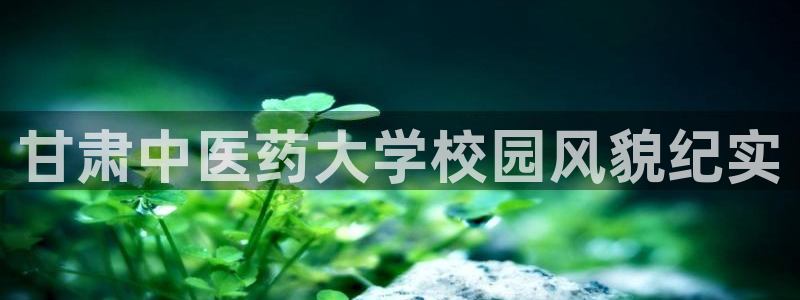九游会贴吧