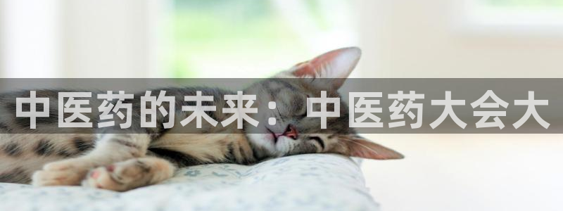 J9九游会国际站