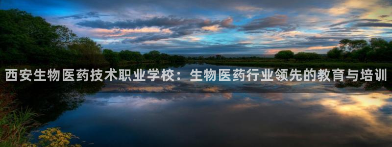 九游会登录网站吗