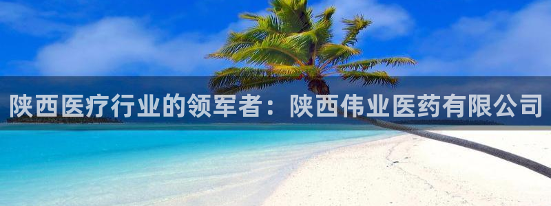 j9九游会app下载