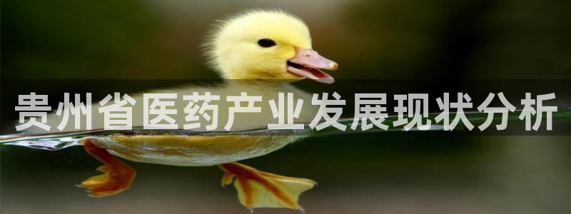 九游会手机登陆