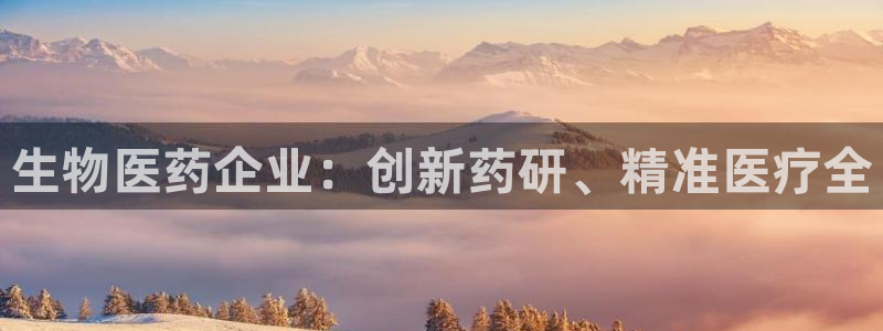 九游j9国际站