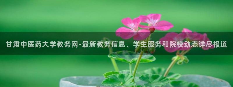 九游会中国j9