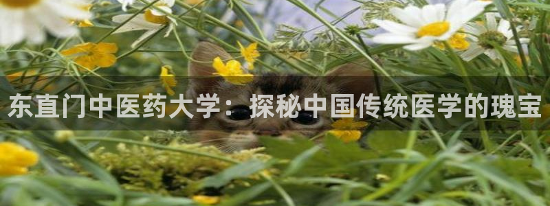 ag久游
