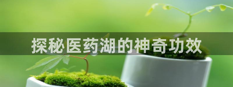 九游会可靠吗