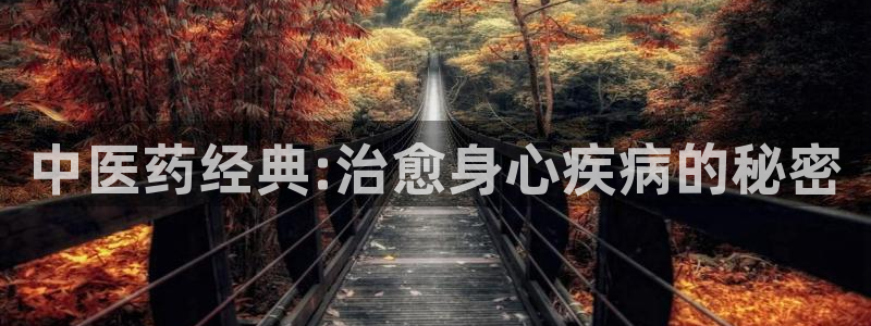九游会吧