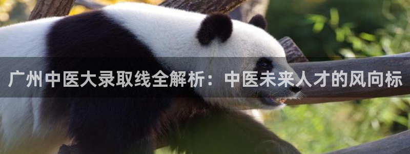 九游会平台稳定吗