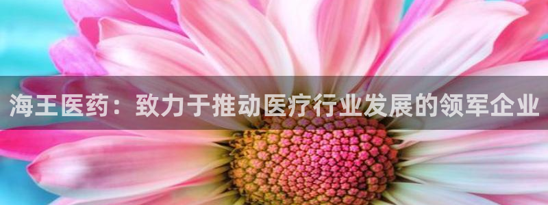 j9九游会真人游戏第一