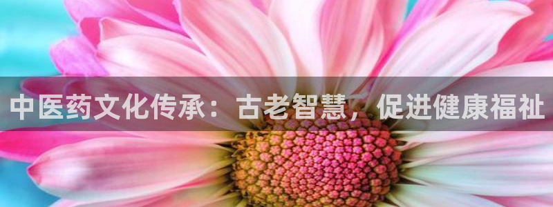 九游会登录网站吗