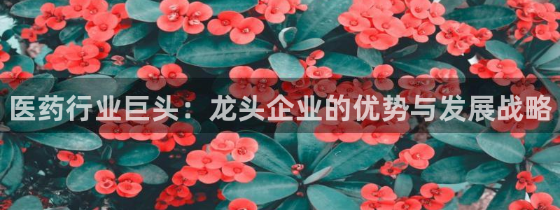 九游会平台老哥俱乐部