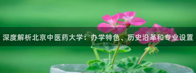j9九游登陆