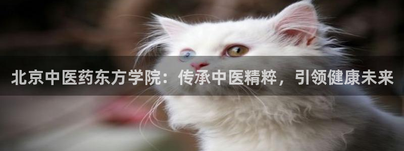 九游会官网网址是多少