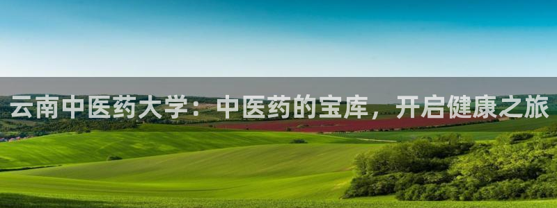 九游会老哥