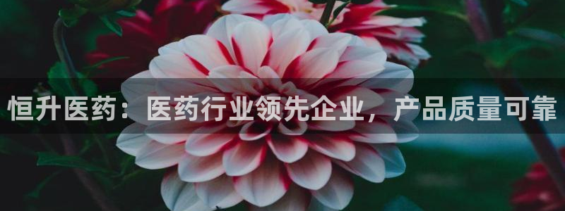 ag九游会app下载版官网正版