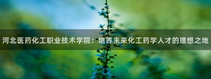 九游会官网站