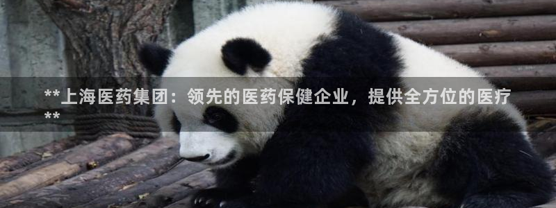 九游会真人第一品牌游戏合营