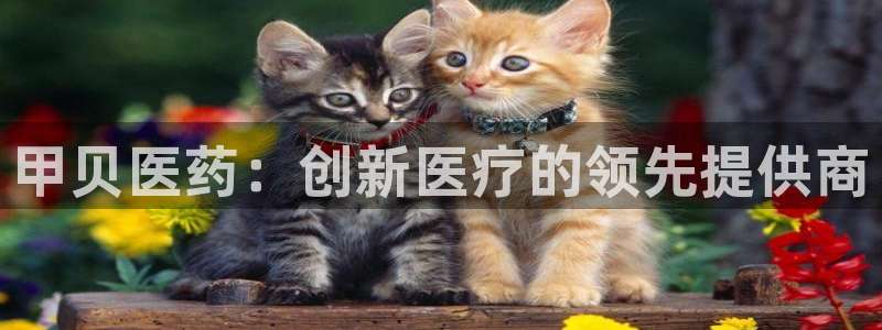 九游会官网首页入口