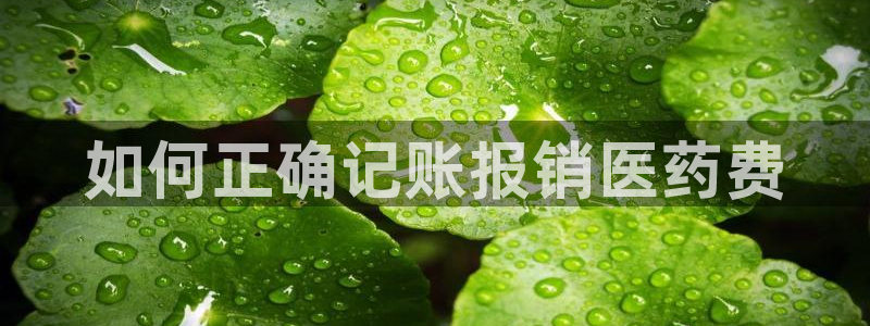 J9九游会登录入口首页旧版
