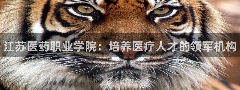九游会j9官方登录入口