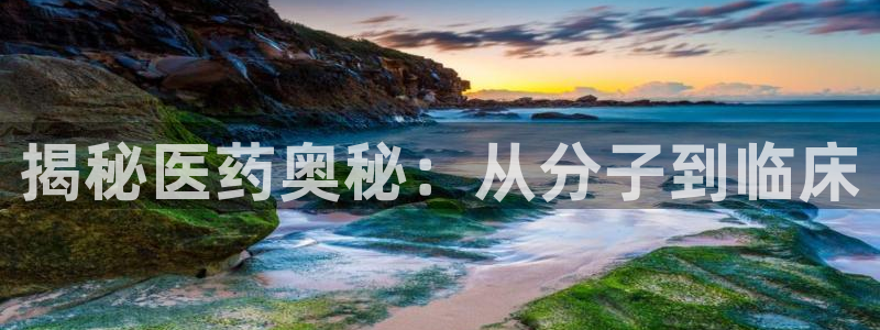 九游会官网登入