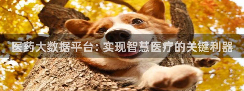 j9官网入口