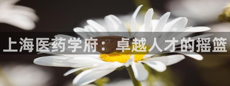 九游会官网 登录网站